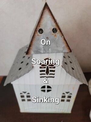 cover image of On Soaring & Sinking